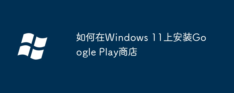 2024年如何在Windows 11上安装Google Play商店