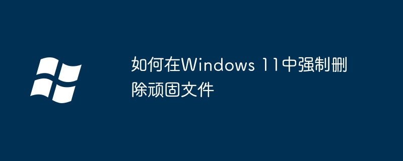 2024年如何在Windows 11中强制删除顽固文件