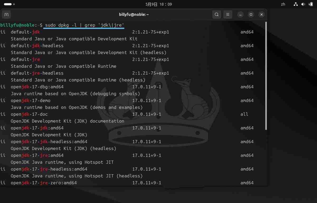 2024年Ubuntu 24.04 LTS怎么安装和卸载Java?