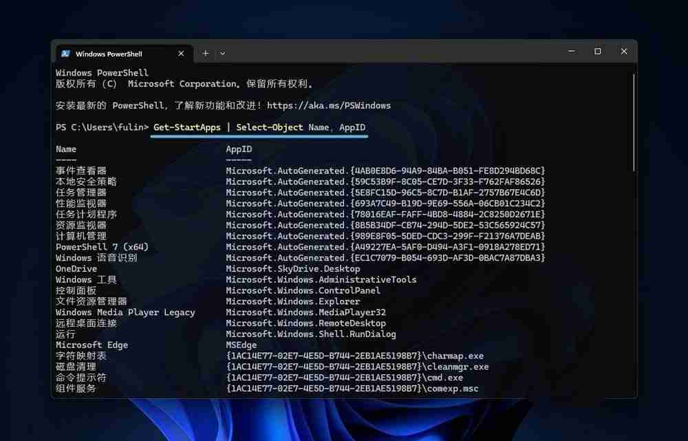 2024年Win11怎么查看应用程序 AppID?