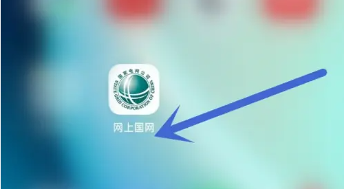 2024年网上国网怎么办会员