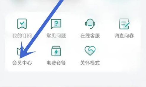 2024年网上国网怎么办会员