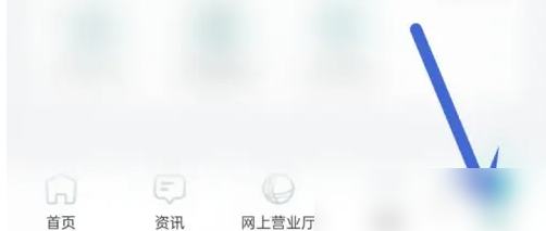 2024年网上国网怎么办会员