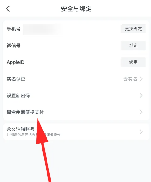 2024年小黑盒怎么设置支付密码