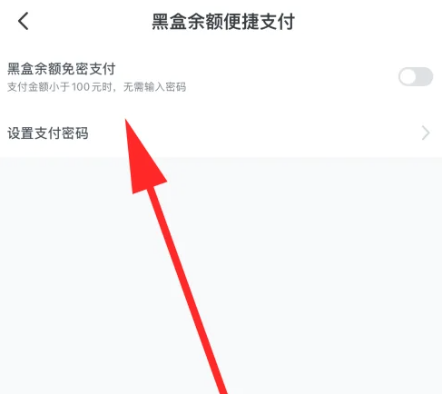 2024年小黑盒怎么设置支付密码