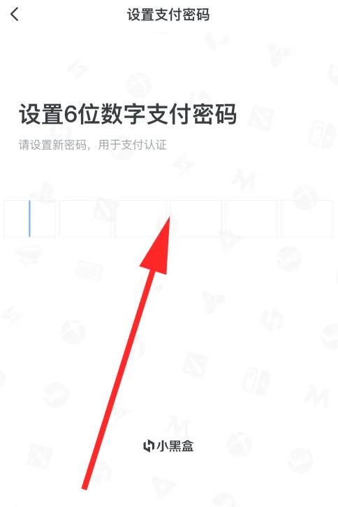 2024年小黑盒怎么设置支付密码