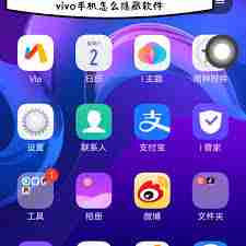 2024年vivo手机在哪设置隐藏应用