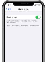 2024年苹果手机如何设置