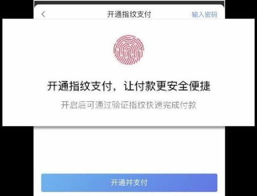 2024年我的宁夏如何进行等级认证？