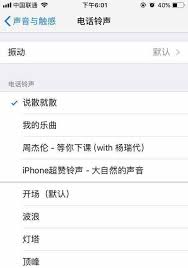 2024年iphone设置呼叫转移