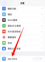 2024年苹果手机app无法下载软件怎么办