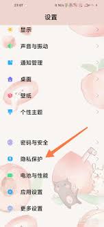 2024年小米手机无法设为私密原因解析