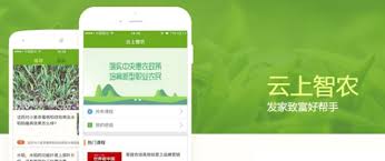 2024年云上智农线上培训指南