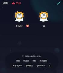 2024年soul账号注销两次后能否重新注册