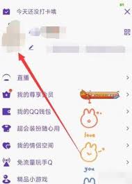 2024年如何找回我的勋章墙