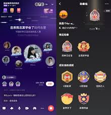 2024年全民k歌新星勋章的作用