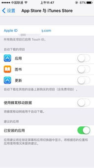 2024年苹果11如何关闭自动更新后进行手动更新