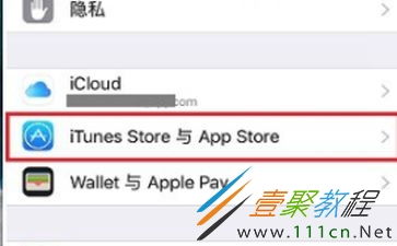 2024年苹果11如何关闭自动更新后进行手动更新