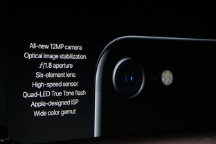 2024年iPhone7Plus如何设置动态壁纸