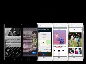 2024年iPhone共享相簿不可见怎么办