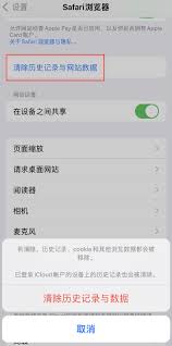 2024年清除iPhone Safari历史记录的方法
