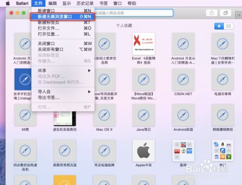2024年Safari浏览器怎么取消无痕浏览