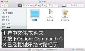 2024年如何在Mac电脑上移动文件和文件夹