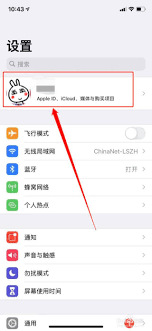 2024年苹果手机VIP连续包月如何取消