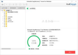 2024年如何恢复已删除的照片和视频