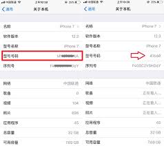 2024年iphone型号如何查询