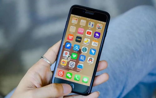 2024年iPhone家人共享如何更新付款方式