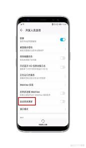2024年华为手机更新系统卡顿怎么办