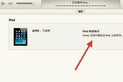 2024年iPhone连接iTunes解锁教程