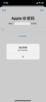 2024年iPhone下载应用重复输入账户密码