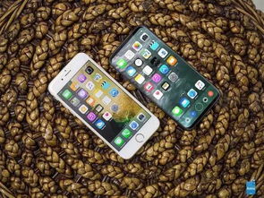 2024年掌握iPhone查看正在使用精确位置应用技巧