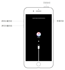 2024年苹果手机突然黑屏