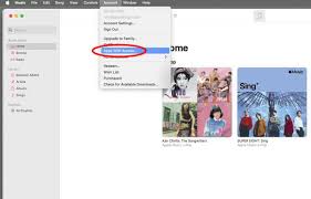 2024年macOS如何授予第三方应用Apple Music访问权限