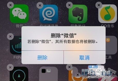 2024年iPhone闪退原因探秘