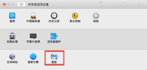 2024年爱奇艺Mac视频下载方法及下载位置详解