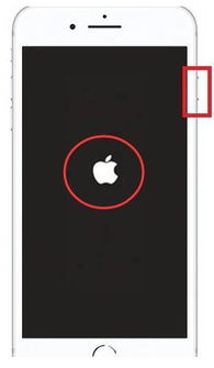 2024年苹果iPhone15如何强制关机重启