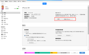 2024年苹果闪退如何解决
