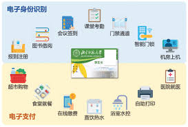 2024年校园卡如何连接手机使用