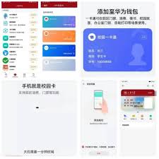 2024年校园卡如何连接手机使用