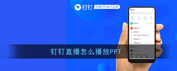 2024年钉钉mac版如何进行PPT直播