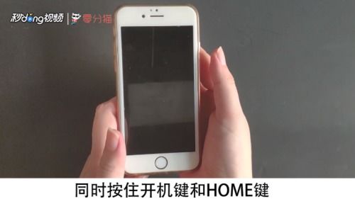 2024年苹果手机相机黑屏怎么恢复正常
