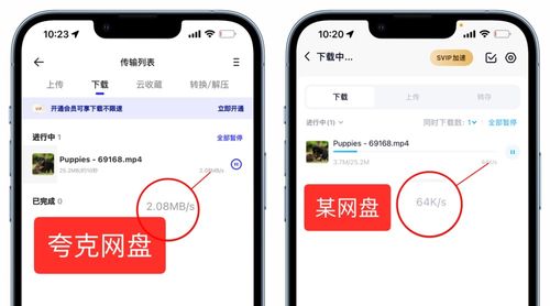 2024年夸克网盘如何快速下载