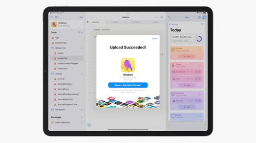 2024年遇到iPad无法更新iPadOS15正式版怎么办