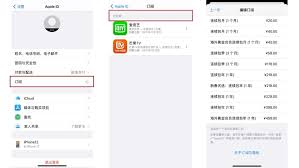 2024年苹果系列手机如何关闭QG会员自动续费
