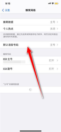 2024年苹果12如何设置默认号码