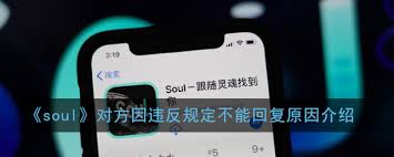 2024年soul违规无法回复的用户是否骗子